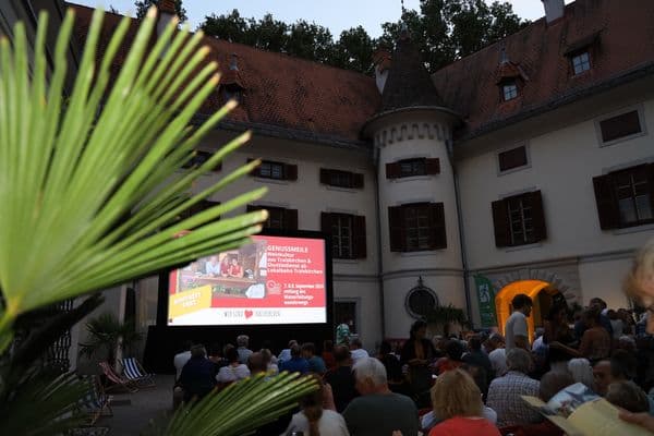 Traiskirchen - Kino im Schloss